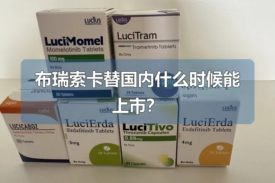 布瑞索卡替国内什么时候能上市?
